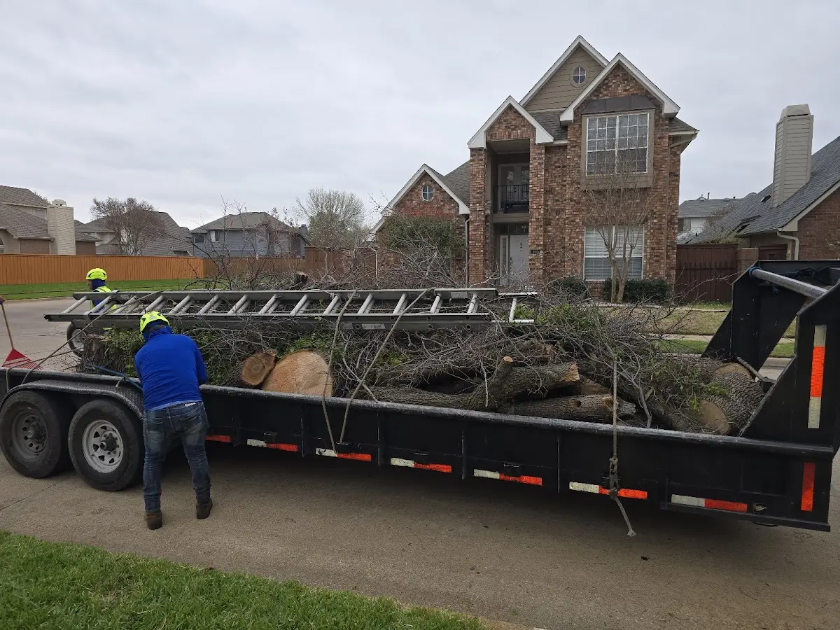 Expert Tree Fertilization with proper safety equipment in Jump River